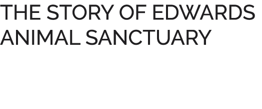 THE STORY OF EDWARDS ANIMAL SANCTUARY